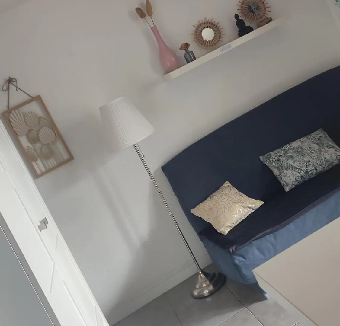 公寓 T2 Coquet Proche Plages, Port Et Centre Ville 戈尔夫瑞昂